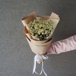 Привет, ромашки! Букет ромашек с доставкой. Санкт-Петербург. Круглосуточно - Фотография 6 Привет, ромашки! Букет ромашек с доставкой. Санкт-Петербург. Круглосуточно - Фотография 6