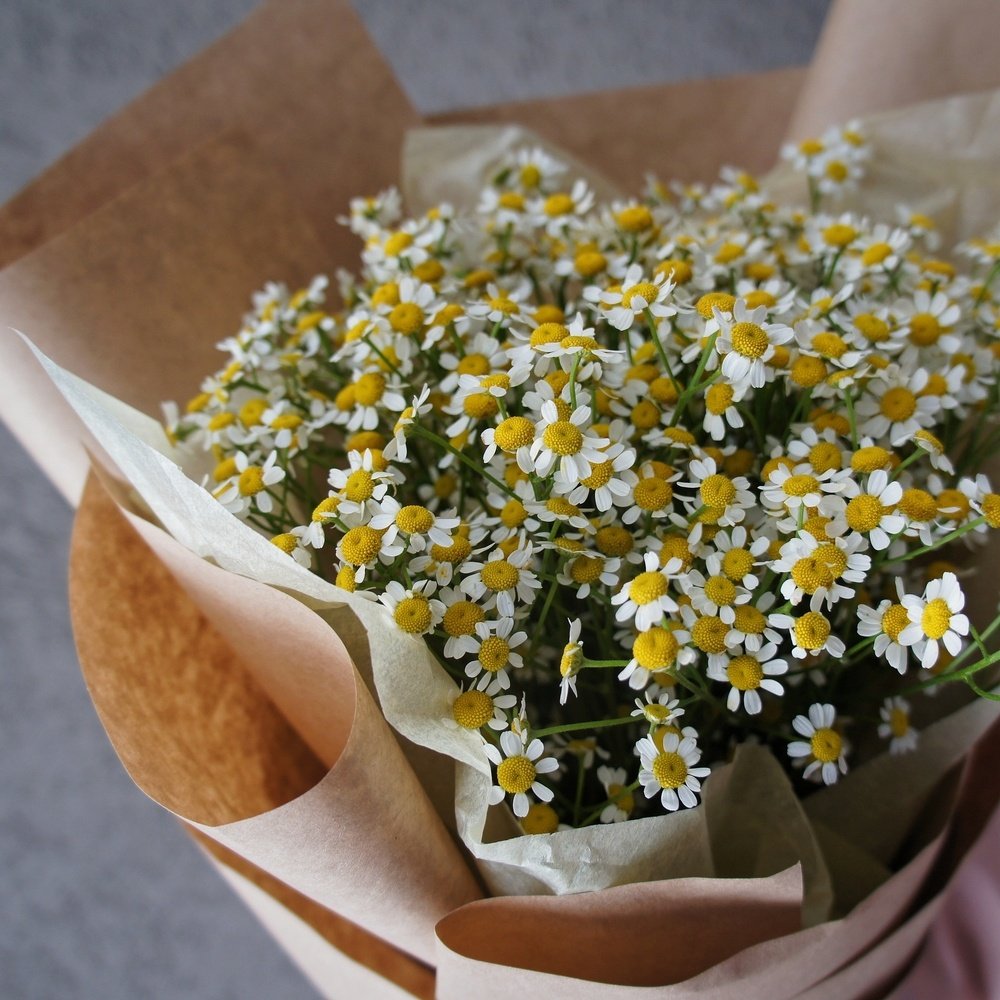 Привет, ромашки!