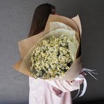 Россыпь лучей: букет полевых ромашек в Санкт-Петербурге - Фотография 5