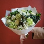 На склоне Хуаша: тропический кактус, фрезия и южноафриканская бруния в Санкт-Петербурге - Фотография 3