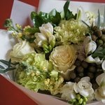 На склоне Хуаша: тропический кактус, фрезия и южноафриканская бруния в Санкт-Петербурге - Фотография 5