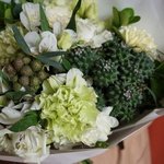 На склоне Хуаша: тропический кактус, фрезия и южноафриканская бруния в Санкт-Петербурге - Фотография 9