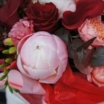 Ласковый Лео: пионы, каллы и фрезия в Санкт-Петербурге - Фотография 6