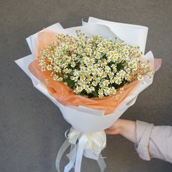 Недорогой букет ромашек: сотни соцветий в одном букете! Недорогой букет ромашек: сотни соцветий в одном букете!