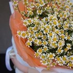 Недорогой букет ромашек с доставкой в СПб - Фотография 2