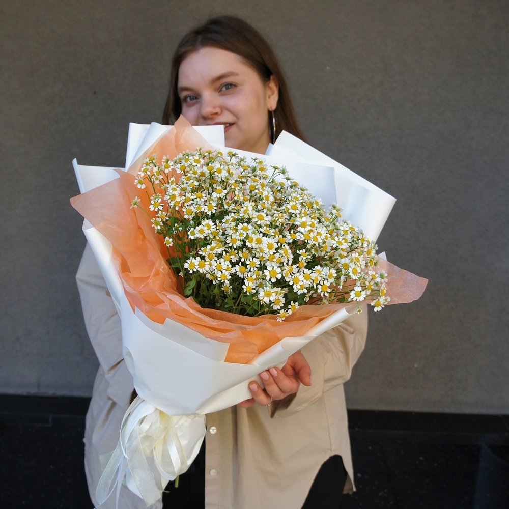 Недорогой букет ромашек: сотни соцветий в одном букете!