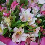 Альстромерии недорого: микс розовых и белых. Букет с доставкой в Санкт-Петербурге - Фотография 5