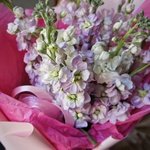 Ароматные цветы недорого: фактурная маттиола микс. Доставка букета в Санкт-Петербурге - Фотография 9