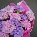 Гвоздики микс недорого купить цветы в Санкт-Петербурге. Доставка круглосуточно - Фотография 3