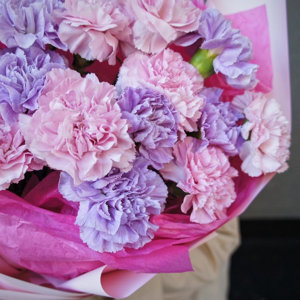 Гвоздики микс недорого