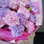 Гвоздики микс недорого купить цветы в Санкт-Петербурге. Доставка круглосуточно - Фотография 4