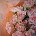 Кустовые розы недорого: нежная фактура и лёгкий цветочный аромат в Санкт-Петербурге - Фотография 7