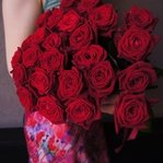 Красные розы недорого: 25 цветков, высота 50 см. Цветы по акции. Доставка круглосуточно в СПб. Санкт-Петербург розы недорого - Фотография 2