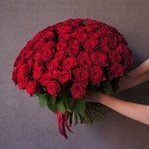 Красные розы недорого: 101 цветок, высота 50 см. Доставка цветов в Санкт-Петербурге круглосуточно. Розы в СПб дешево - Фотография 2
