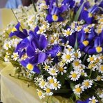 Ирисы и ромашки недорого: летний полевой букет. Доставка в Санкт-Петербурге круглосуточно - Фотография 4