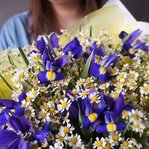 Ирисы и ромашки недорого: летний полевой букет. Доставка в Санкт-Петербурге круглосуточно - Фотография 3