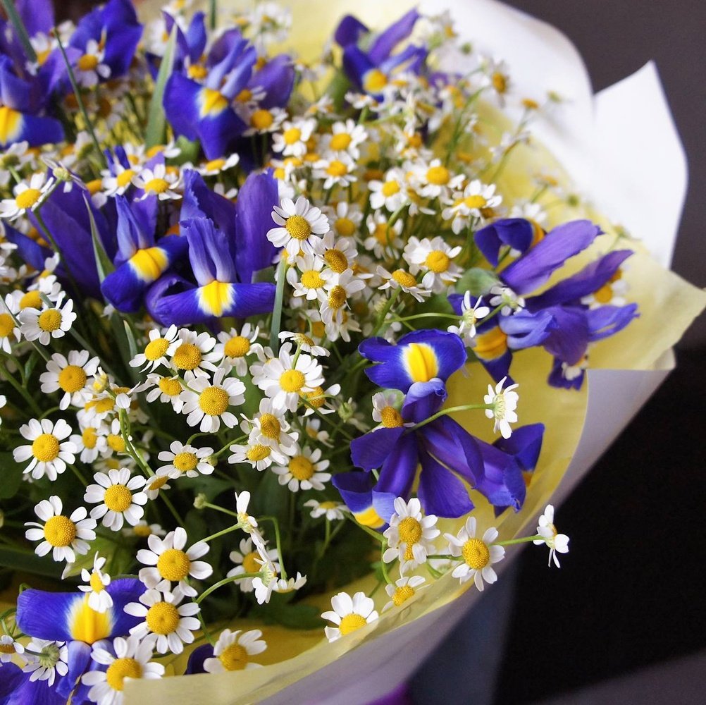 Ирисы и ромашки недорого: летний полевой букет