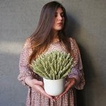 Кашпо с пшеницей в Санкт-Петербурге - Фотография 5