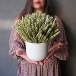 Кашпо с пшеницей в Санкт-Петербурге - Фотография 8