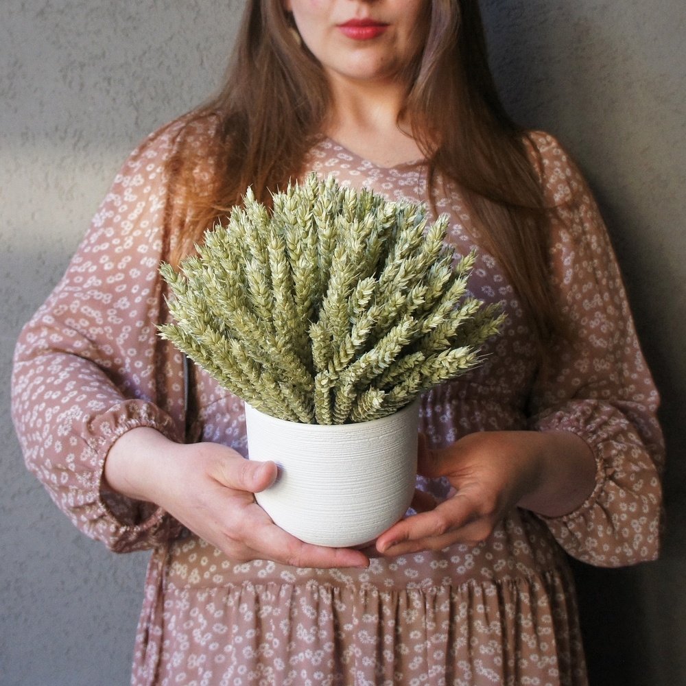 Кашпо с пшеницей в Санкт-Петербурге