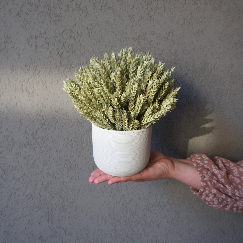 Кашпо с пшеницей