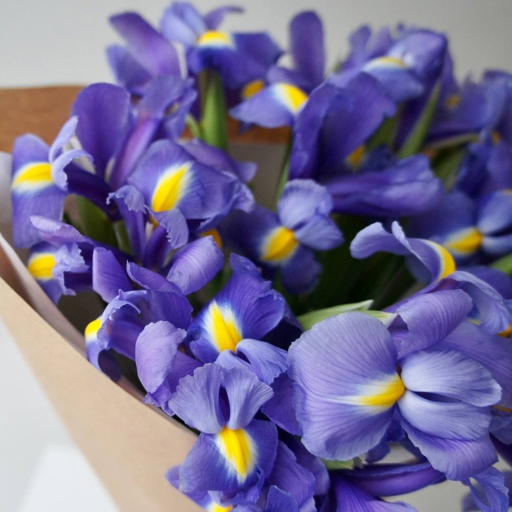 Букет синих ирисов: 15 цветков с оформлением недорого
