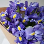 Букет синих ирисов: 15 цветков с оформлением недорого в Санкт-Петербурге - Фотография 5
