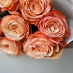 Пионовидные розы Кахала: 9 цветков с оформлением в Санкт-Петербурге - Фотография 5