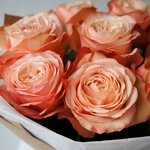 Пионовидные розы Кахала: 9 цветков с оформлением в Санкт-Петербурге - Фотография 2