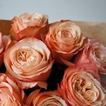 Пионовидные розы Кахала: 9 цветков с оформлением в Санкт-Петербурге - Фотография 9