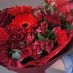 Багровый пик: красные герберы, плоды гиперикума и другие цветы в Санкт-Петербурге - Фотография 7