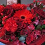 Багровый пик: красные герберы, плоды гиперикума и другие цветы в Санкт-Петербурге - Фотография 2