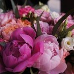 Самый лучший букет: пионы, пионовидные розы и другие цветы в Санкт-Петербурге - Фотография 9