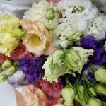 Разноцветная эустома: букет из 7 цветков в крафте. Доставка цветов в Санкт-Петербурге круглосуточно - Фотография 3 Разноцветная эустома: букет из 7 цветков в крафте. Доставка цветов в Санкт-Петербурге круглосуточно - Фотография 3