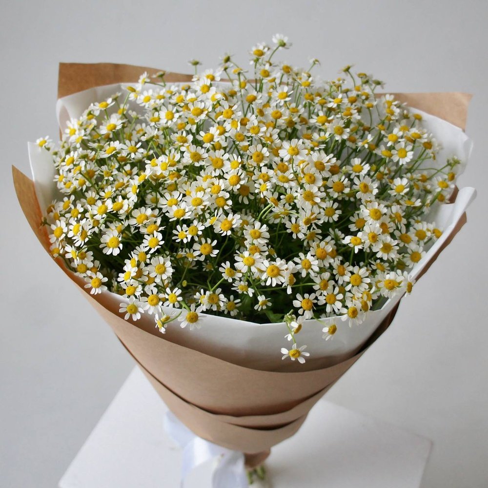 Ромашки (матрикария): 15 цветков в крафт-бумаге по цене 4435 ₽ -  .