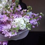 Ароматная маттиола: фактурные соцветия и лёгкий аромат в Санкт-Петербурге - Фотография 14