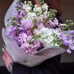 Ароматная маттиола: фактурные соцветия и лёгкий аромат в Санкт-Петербурге - Фотография 10