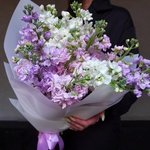 Ароматная маттиола: фактурные соцветия и лёгкий аромат в Санкт-Петербурге - Фотография 1