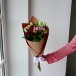 Альстромерия недорого: 5 цветков микс в букете с доставкой в Санкт-Петербурге - Фотография 4 Альстромерия недорого: 5 цветков микс в букете с доставкой в Санкт-Петербурге - Фотография 4