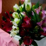 Альстромерия недорого: 5 цветков микс в букете с доставкой в Санкт-Петербурге - Фотография 5 Альстромерия недорого: 5 цветков микс в букете с доставкой в Санкт-Петербурге - Фотография 5