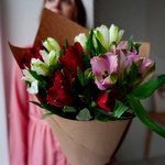 Альстромерия недорого: 5 цветков микс в букете с доставкой в Санкт-Петербурге - Фотография 3 Альстромерия недорого: 5 цветков микс в букете с доставкой в Санкт-Петербурге - Фотография 3