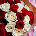 Розы дешево, 25 шт. Цвет: красный и белый. Доставка цветов в Санкт-Петербурге круглосуточно - Фотография 2