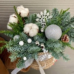 Ноэль в Санкт-Петербурге - Фотография 5