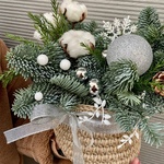 Ноэль в Санкт-Петербурге - Фотография 8