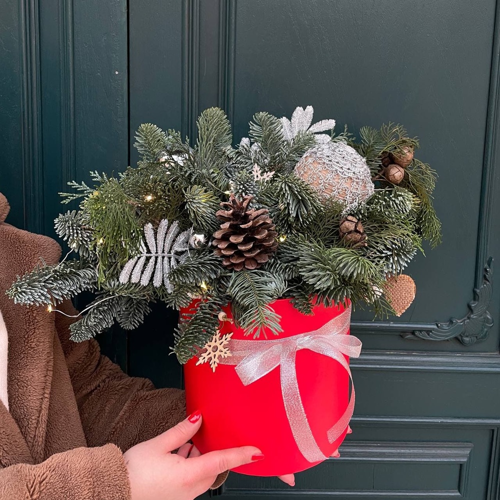 Принцесса на Рождество