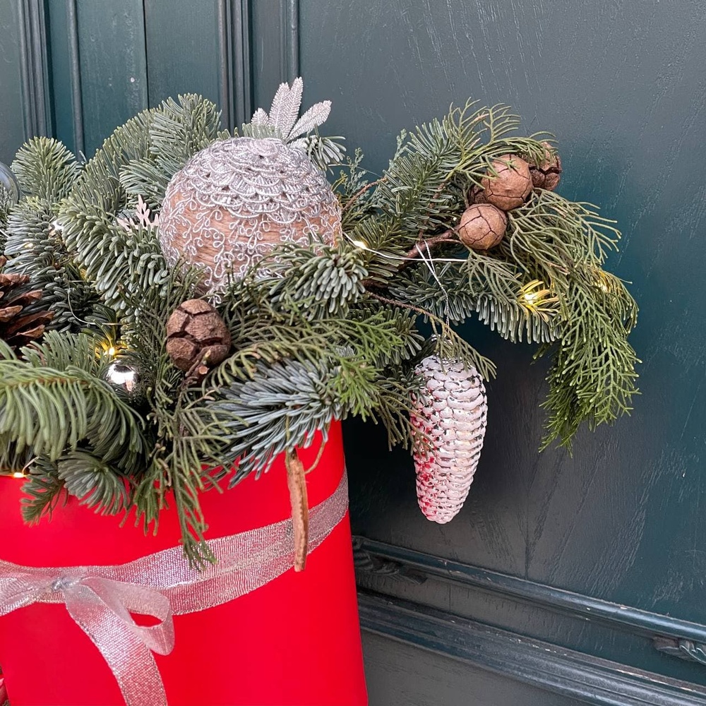 Принцесса на Рождество