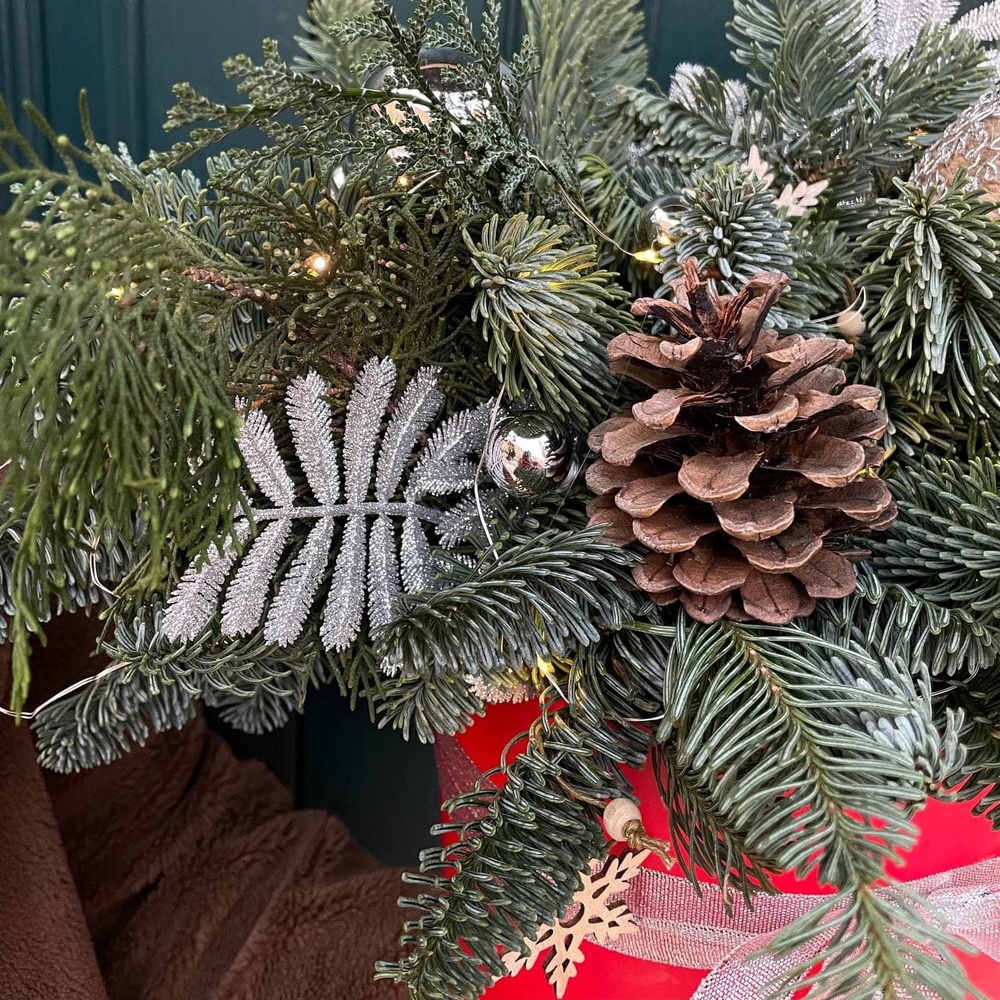 Принцесса на Рождество