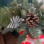 Принцесса на Рождество в Санкт-Петербурге - Фотография 7