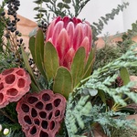 Принцесса Мононоке в Санкт-Петербурге  - Фотография 4