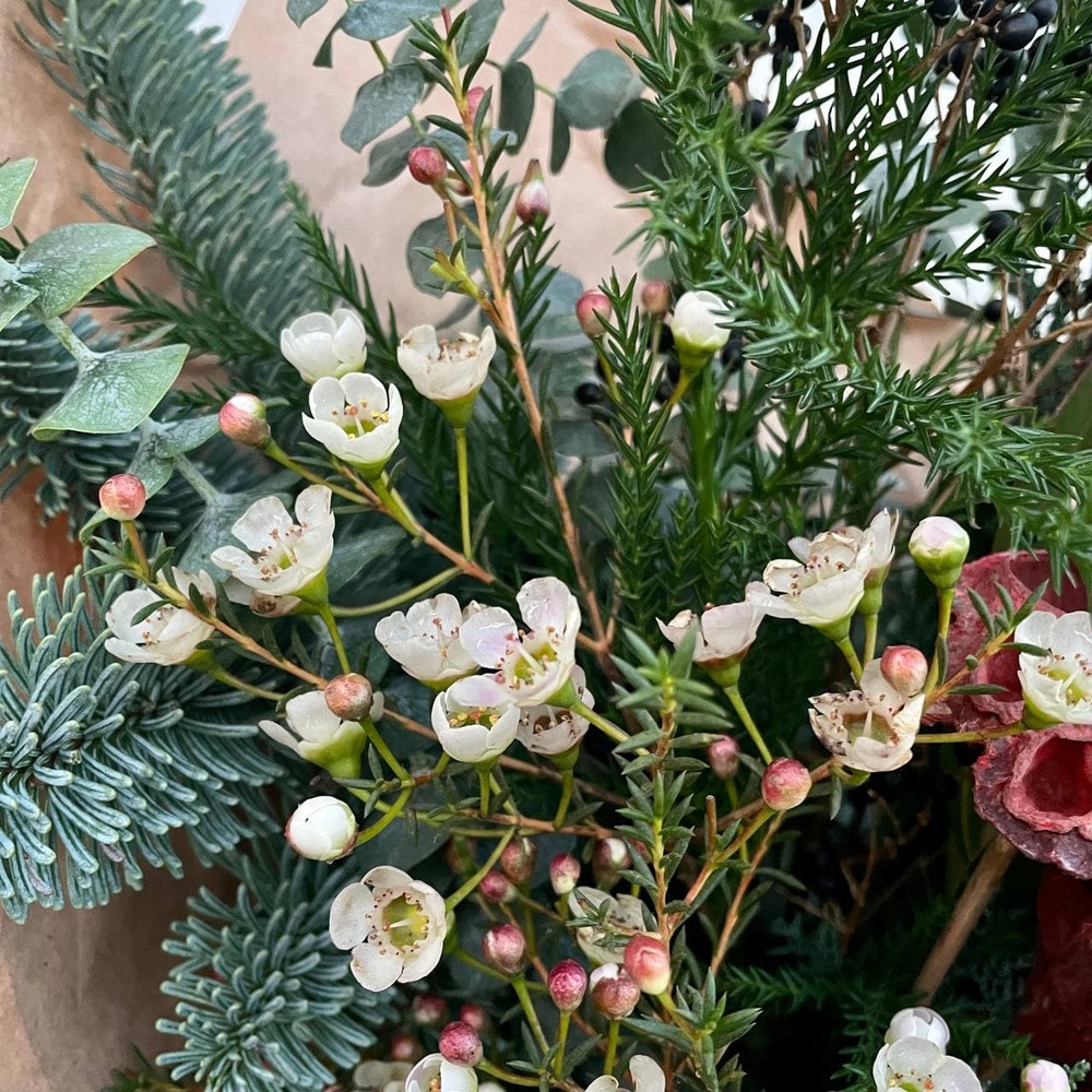 Новогодний трип